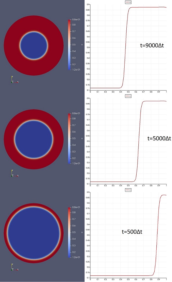 Two Phase Lithiaton Model